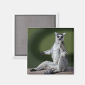 Gewoon chill magneet (Voorkant / Achterkant)
