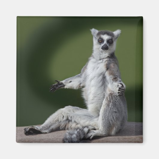 Gewoon chill magneet (Voorkant)