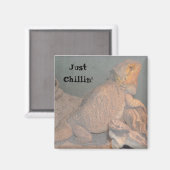 Gewoon chillen - Baardagaam Magneet (Voorkant / Achterkant)