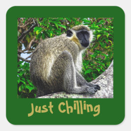 "Gewoon Chillen" Green Monkey Print Vierkante Stic Sticker