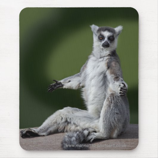 Gewoon Chillen Muismat (Voorkant)