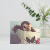 Gewoon Chillin. (Staand voorkant)