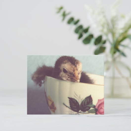 Gewoon Chillin. (Staand voorkant)