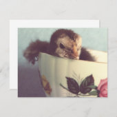 Gewoon Chillin. (Voorkant / Achterkant)