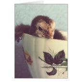 Gewoon Chillin. (Voorkant)