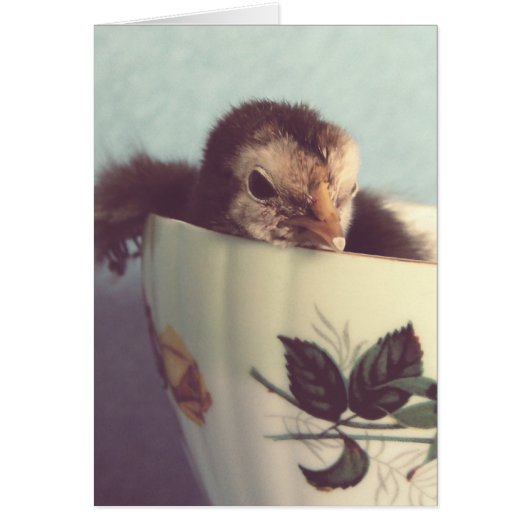 Gewoon Chillin. (Voorkant)