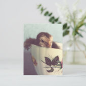 Gewoon Chillin. Briefkaart (Staand voorkant)