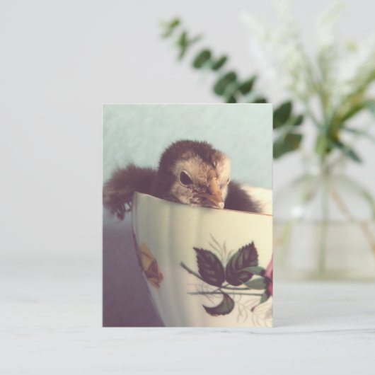 Gewoon Chillin. Briefkaart (Staand voorkant)