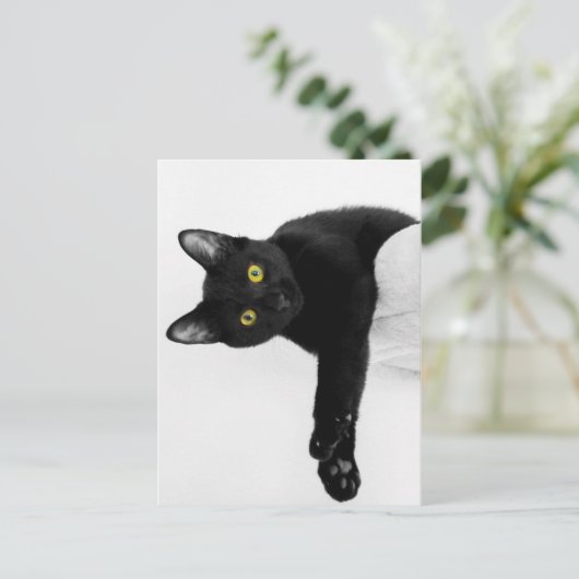 Gewoon chillin. briefkaart (Staand voorkant)