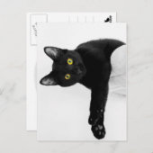 Gewoon chillin. briefkaart (Voorkant / Achterkant)