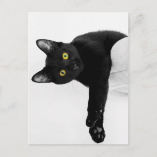 Gewoon chillin. briefkaart