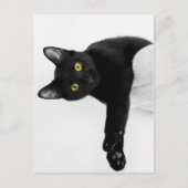 Gewoon chillin. briefkaart (Voorkant)