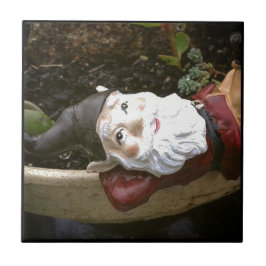 Gewoon Chillin, een tuingnoom Tegeltje