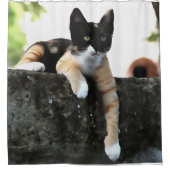 Gewoon Chillin Tricolor Cat Pet Portait Douchegordijn (Voorkant)