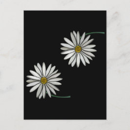 Gewoon Daisies Briefkaart