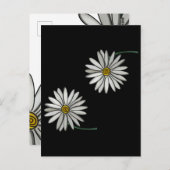 Gewoon Daisies Briefkaart (Voorkant / Achterkant)