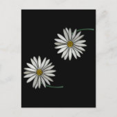 Gewoon Daisies Briefkaart (Voorkant)