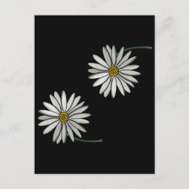Gewoon Daisies Briefkaart