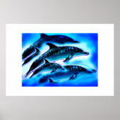 Gewoon dolfijnendierkunst poster (Voorkant)