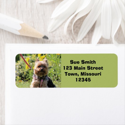 Gewoon donker etiket (Insitu)