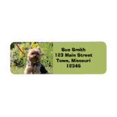 Gewoon donker etiket (Voorkant)