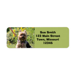 Gewoon donker etiket