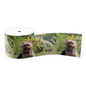 Gewoon donker grosgrain lint (Spoel)