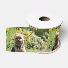 Gewoon donker grosgrain lint
