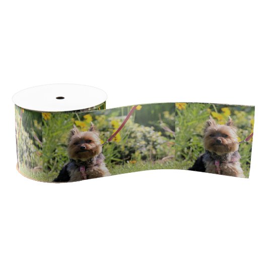 Gewoon donker grosgrain lint (Spoel)