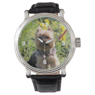 Gewoon donker horloge