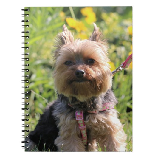 Gewoon donker notitieboek (Voorkant)