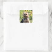 Gewoon donker vierkante sticker (Tas)