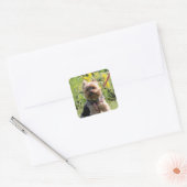 Gewoon donker vierkante sticker (Envelop)