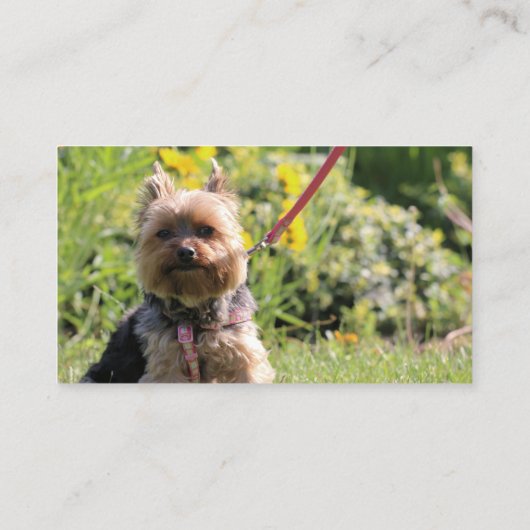 Gewoon donker visitekaartje (Achterkant)