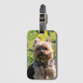 Gewoon donkere trektas bagagelabel (Voorkant (verticaal))