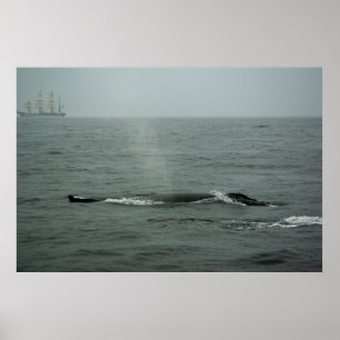 Gewoon door afdrukken poster