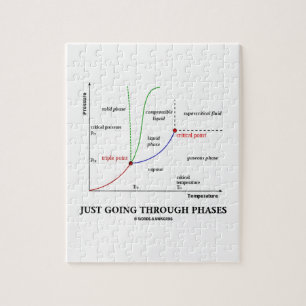 Gewoon door de fase van de waterchemie legpuzzel