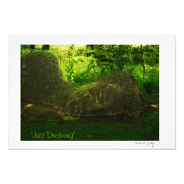 'Gewoon dromen' Foto Afdruk