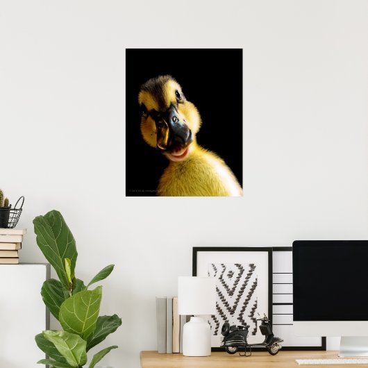 Gewoon Ducky Poster (Thuiskantoor)