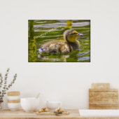 Gewoon Ducky Poster (Keuken)