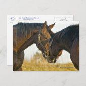 Gewoon een aanraking briefkaart (Voorkant / Achterkant)