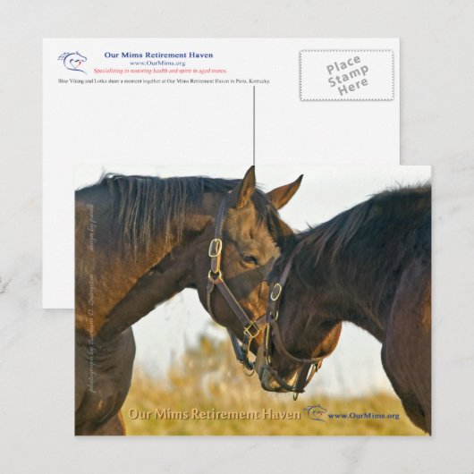 Gewoon een aanraking briefkaart (Voorkant / Achterkant)