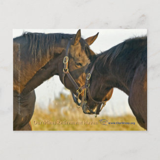 Gewoon een aanraking briefkaart