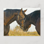 Gewoon een aanraking briefkaart (Voorkant)