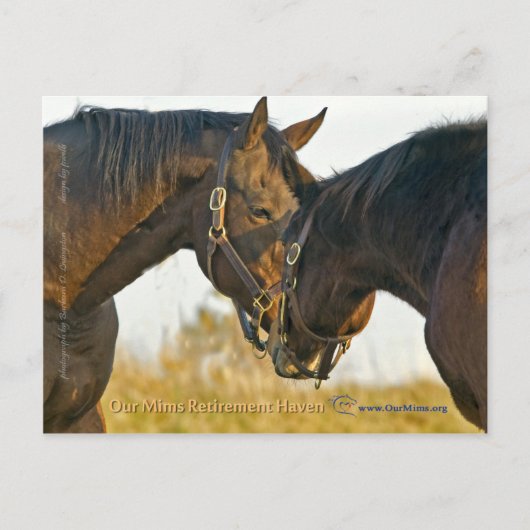 Gewoon een aanraking briefkaart (Voorkant)