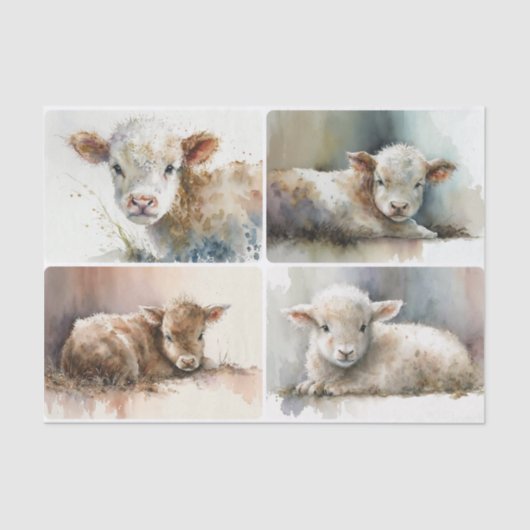 Gewoon een Baby Tissuepapier (Voorkant)