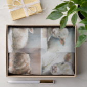 Gewoon een Baby Tissuepapier (Geschenk)