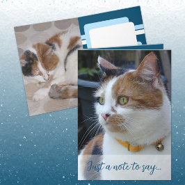 Gewoon een briefje om te zeggen 3 kattenfoto's bla kaart
