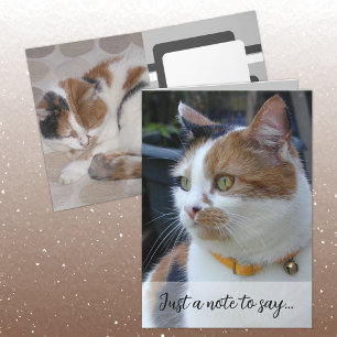 Gewoon een briefje om te zeggen 3 kattenfoto's gri kaart