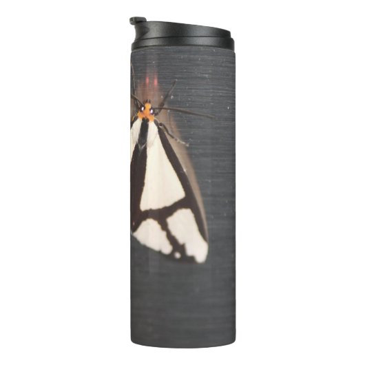 Gewoon een bug thermosbeker (Geroteerd rechts)